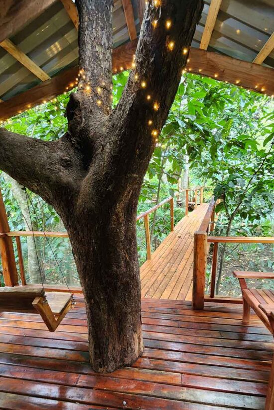 treehouse bridge entrance