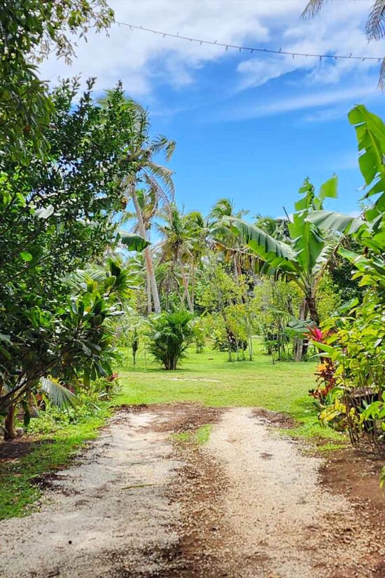 Tukulolo Grounds treehouse driveway entrance